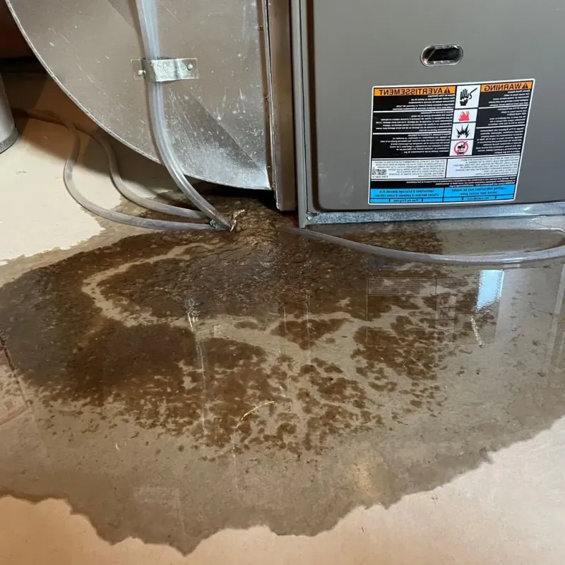 Pipe Burst and Leak Restoration in Russell Springs, KY