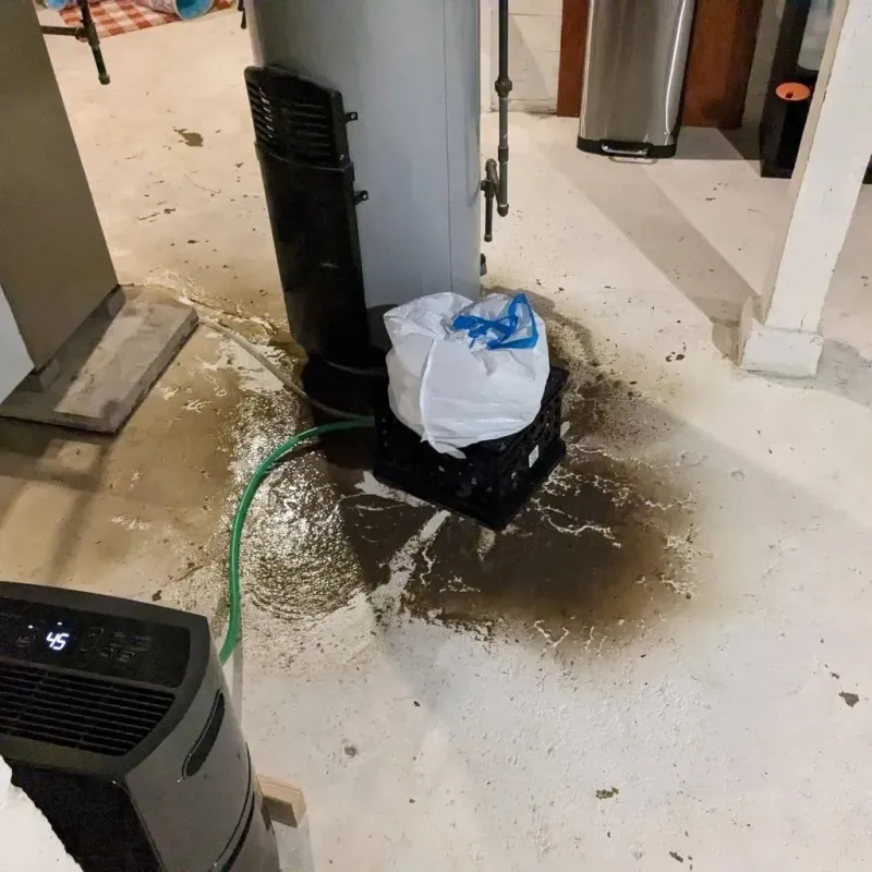 Sewage Backup Cleanup Service in Russell Springs, KY